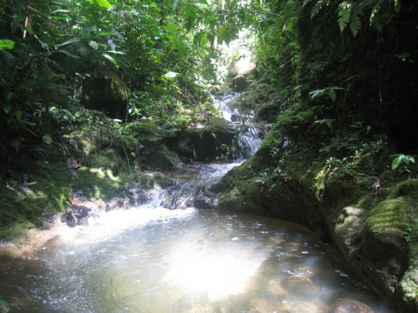 Costa Rica Real Estate - San Vito - Special